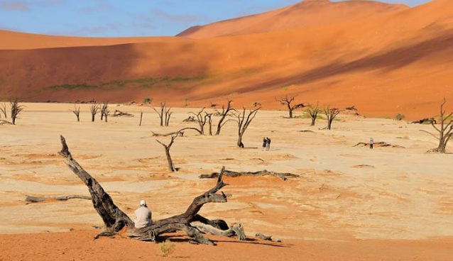 Deadvlei Sossusvlei Namibia